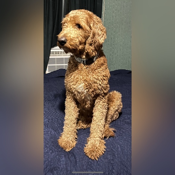 Listing #9 - Picture 1 of 1